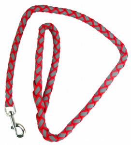 Pawise Dog Reflective Leash Red 